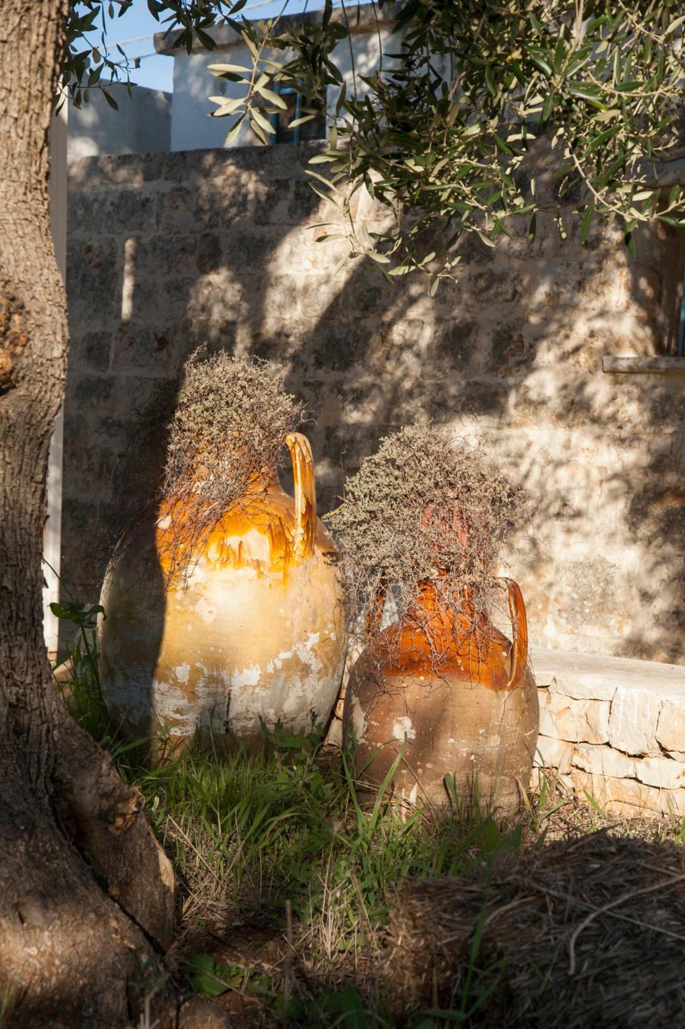 Trulli Alla Controra Конверсано Экстерьер фото