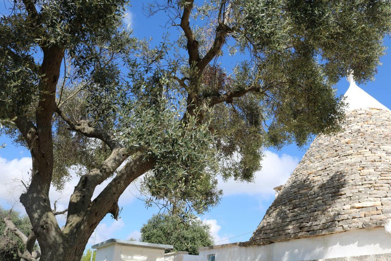 Trulli Alla Controra Конверсано Экстерьер фото